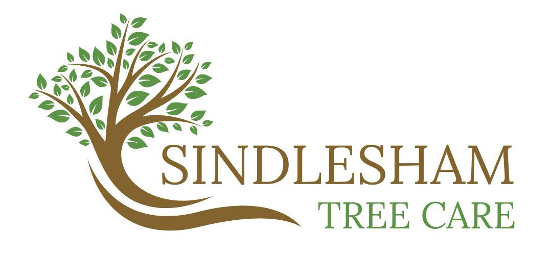 Tree Removal Berkshire